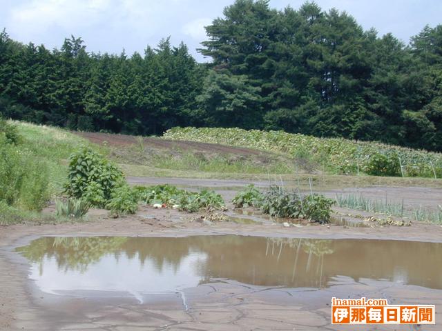 �籫�ˤ������������ﳲ [����������ʹ]