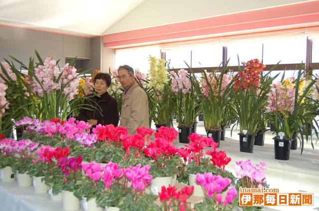 �֤��ޤ�31�ߤ�ȭ�֥���ӥ��塼��ȥ������� [����������ʹ]