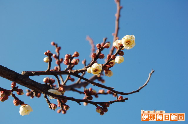 �֤��ޤ�32 [����������ʹ]