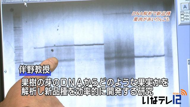 DNA���Ϥˤ���ΨŪ�˿��ʼ��ȯ